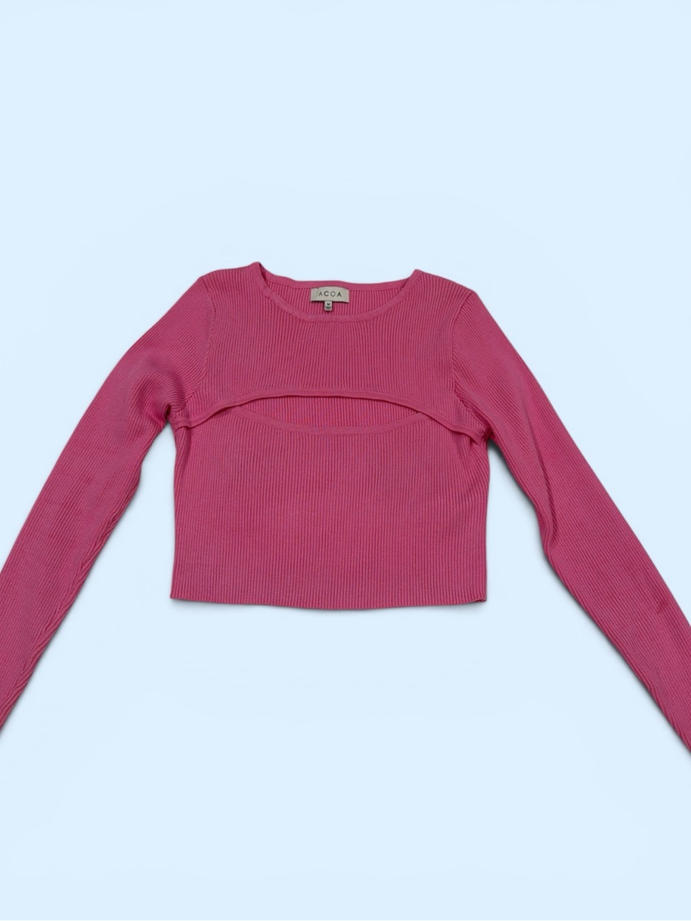 VICI Crop Top